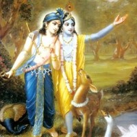 Jai Chaitanya Dasa