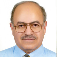 Hatem Sadek