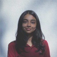Abhigna Mincheri