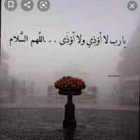 Ali Omar