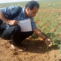 Ali Salimi