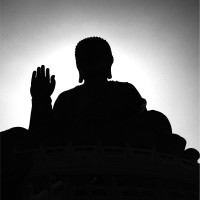 AARON JIA