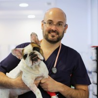 Juan Borrego