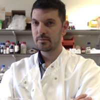 Filippo Del Vecchio