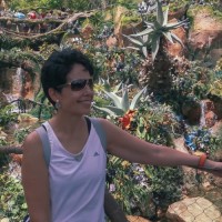 Angélica Solis Soriano