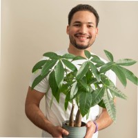 Victor De Jesus