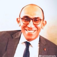 Hamdy El Nady