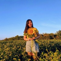 Trang Trinh