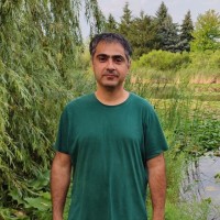 Hesamedin Arabiardakani