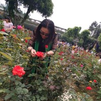 邓玲玲