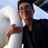 Trinh Hinh