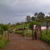 Vuyani Peni