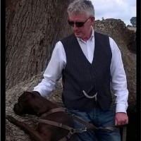 Colin Ayling