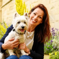 Sam Williamson  🟡🔴/🟢🔵