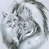 Nicole Dross