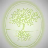 Tree Of Life Az