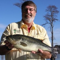 Bob Lusk