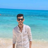 Ziad Hosni