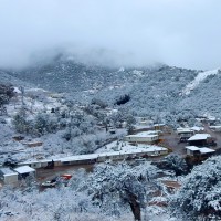 ADRIAN HERRERA MORENO