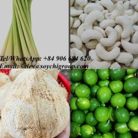 Jenny Vietnam Sourcing