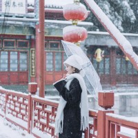 LIN TIn