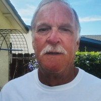 David Bashaw
