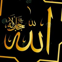 Diljan Hussain Khan Pmp®, Pp6®, Appe®, Ppda®, Pacc®, Pmo®