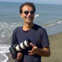 FERNANDO GALLINELLI