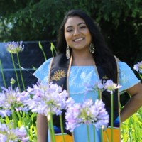 Arlene V.