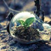 assitante environnement