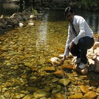 Surendra Nalla