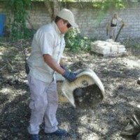 jose jesus romero martinez