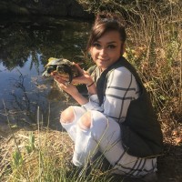 Maya Painter