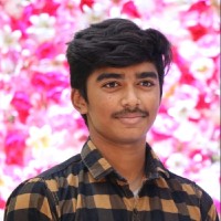 Vigneshwaran M
