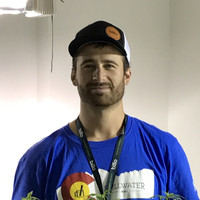 David Kulberg
