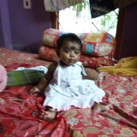 pallab sil