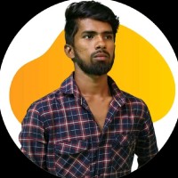 VIGNESH L