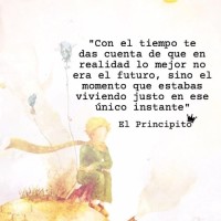 Gustavo Santibañez Santibañez