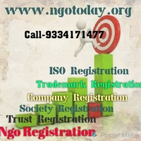 ngo consultancy