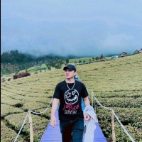 Ari Susanto