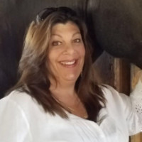 Gayle Ellwood