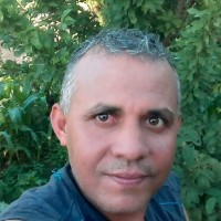 Mohsen Elghazeil