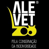 ALEXANDRE NETTO ARMANDO