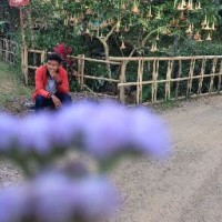 Sukarno Wibowo