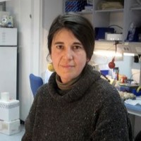 Aixa V. Morales