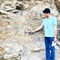 Wasim Sajjad