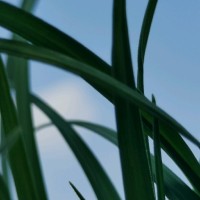 陈小艳