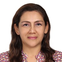 Nancy Vilela Manyari