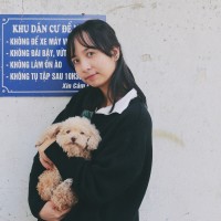 Dieu Linh Le