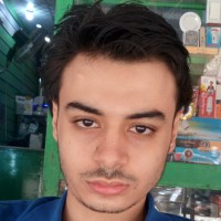 shady sameer